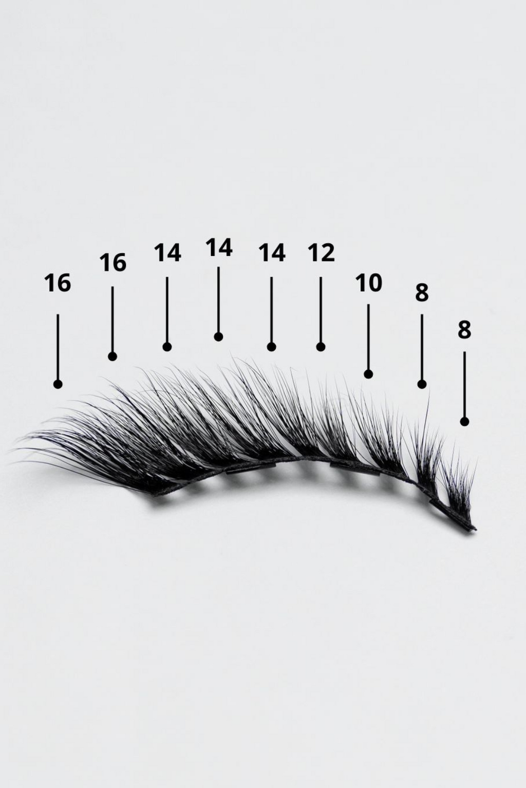 SCARLETT (cat eye, L curl)