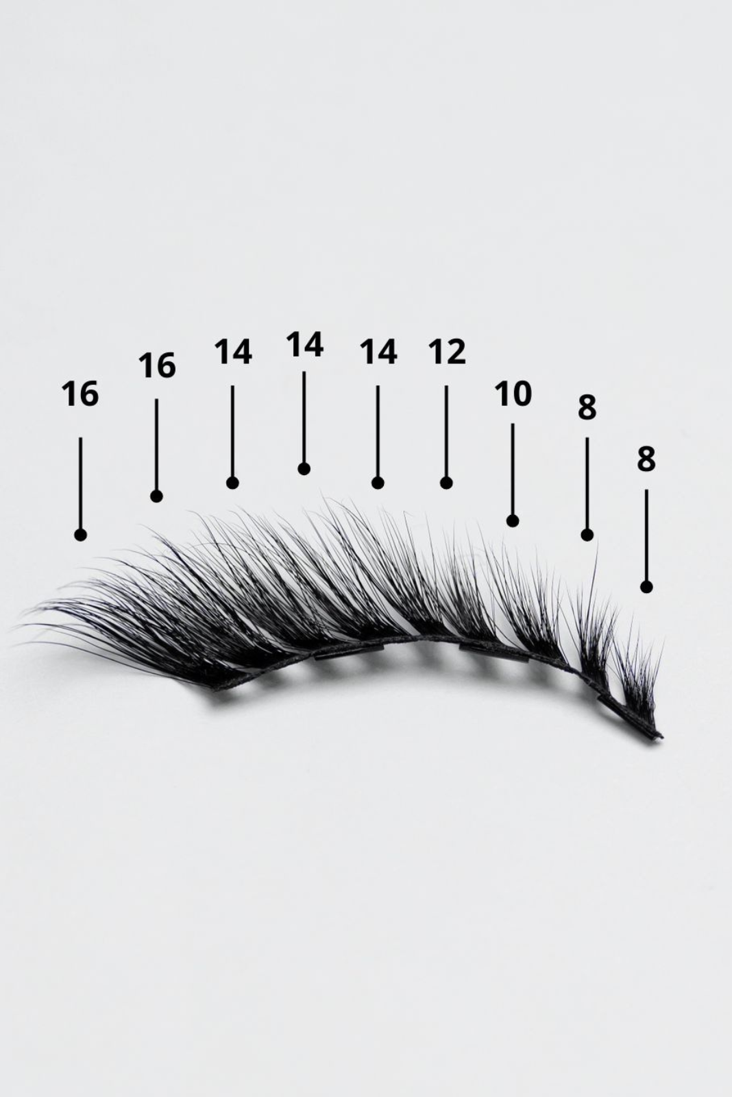 SCARLETT (cat eye, L curl)